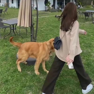 那些大人们不懂的事